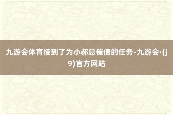 九游会体育接到了为小郝总催债的任务-九游会·(j9)官方网站