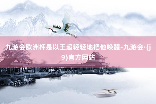 九游会欧洲杯是以王超轻轻地把他唤醒-九游会·(j9)官方网站