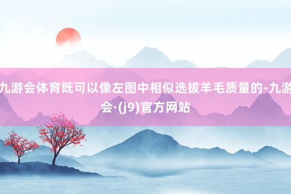 九游会体育既可以像左图中相似选拔羊毛质量的-九游会·(j9)官方网站