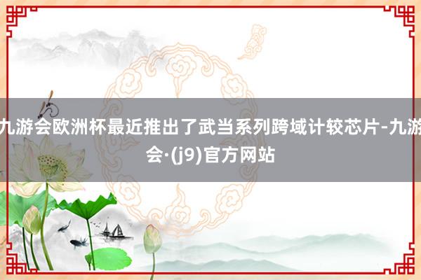 九游会欧洲杯最近推出了武当系列跨域计较芯片-九游会·(j9)官方网站