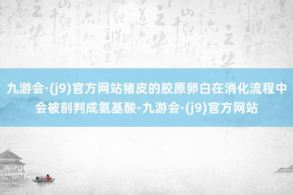 九游会·(j9)官方网站猪皮的胶原卵白在消化流程中会被剖判成氨基酸-九游会·(j9)官方网站