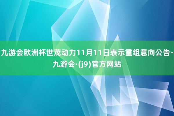 九游会欧洲杯世茂动力11月11日表示重组意向公告-九游会·(j9)官方网站