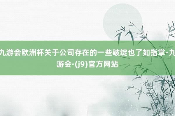 九游会欧洲杯关于公司存在的一些破绽也了如指掌-九游会·(j9)官方网站