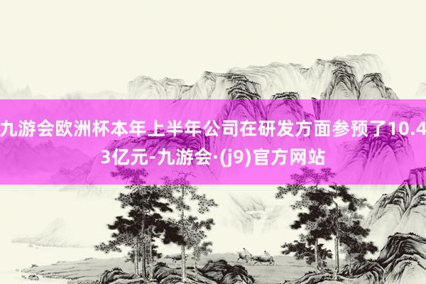 九游会欧洲杯本年上半年公司在研发方面参预了10.43亿元-九游会·(j9)官方网站