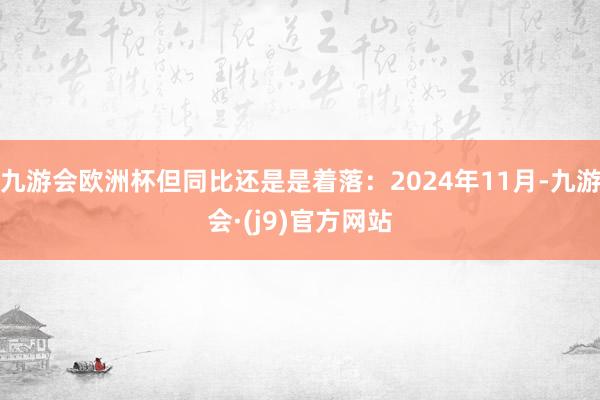 九游会欧洲杯但同比还是是着落：2024年11月-九游会·(j9)官方网站