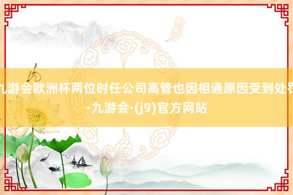 九游会欧洲杯两位时任公司高管也因相通原因受到处罚-九游会·(j9)官方网站
