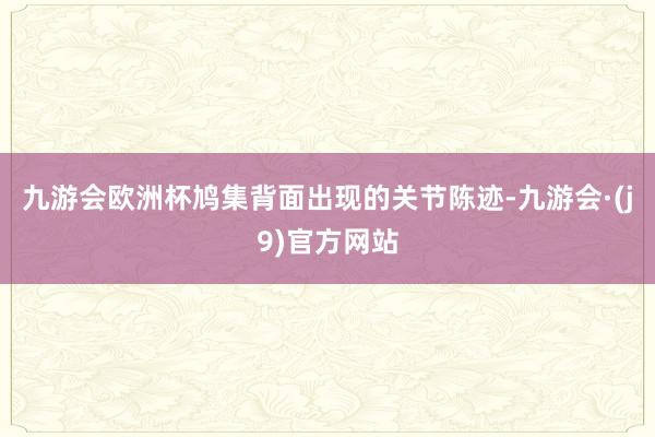 九游会欧洲杯鸠集背面出现的关节陈迹-九游会·(j9)官方网站