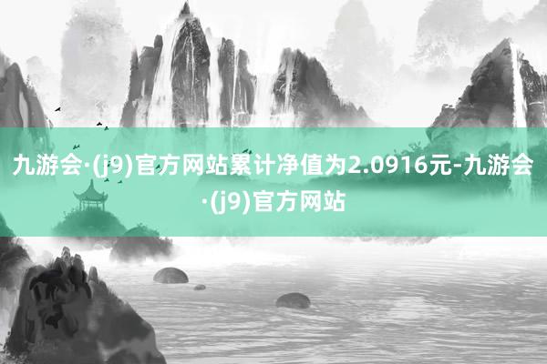 九游会·(j9)官方网站累计净值为2.0916元-九游会·(j9)官方网站