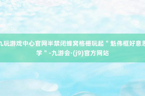 九玩游戏中心官网半禁闭蜂窝格栅玩起＂魁伟框好意思学＂-九游会·(j9)官方网站