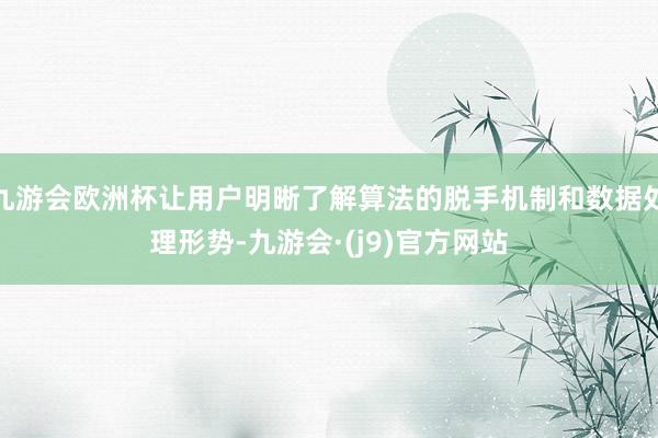 九游会欧洲杯让用户明晰了解算法的脱手机制和数据处理形势-九游会·(j9)官方网站