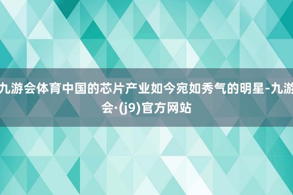 九游会体育中国的芯片产业如今宛如秀气的明星-九游会·(j9)官方网站
