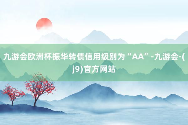 九游会欧洲杯振华转债信用级别为“AA”-九游会·(j9)官方网站