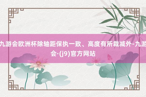 九游会欧洲杯除轴距保执一致、高度有所裁减外-九游会·(j9)官方网站