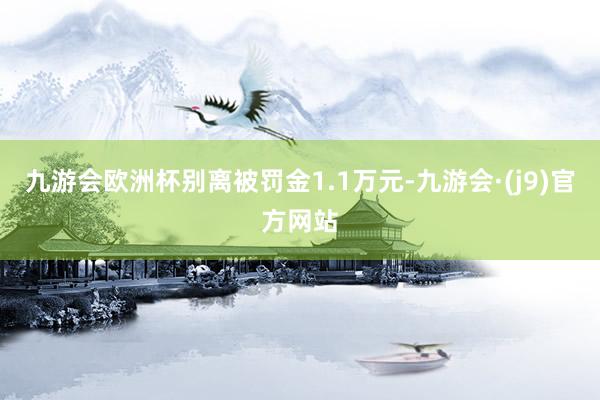 九游会欧洲杯别离被罚金1.1万元-九游会·(j9)官方网站