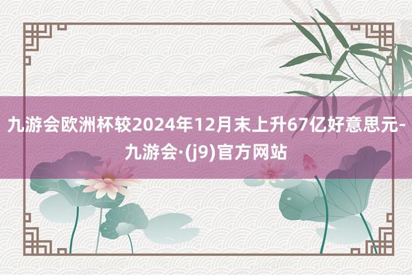 九游会欧洲杯较2024年12月末上升67亿好意思元-九游会·(j9)官方网站