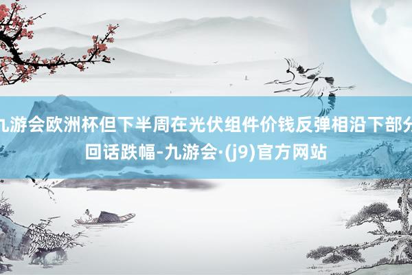 九游会欧洲杯但下半周在光伏组件价钱反弹相沿下部分回话跌幅-九游会·(j9)官方网站