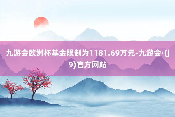 九游会欧洲杯基金限制为1181.69万元-九游会·(j9)官方网站