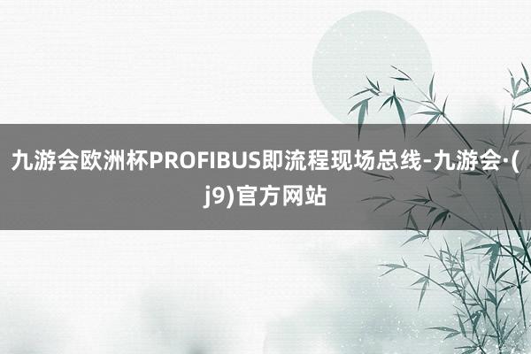 九游会欧洲杯PROFIBUS即流程现场总线-九游会·(j9)官方网站