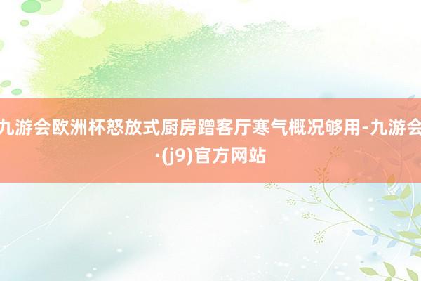 九游会欧洲杯怒放式厨房蹭客厅寒气概况够用-九游会·(j9)官方网站