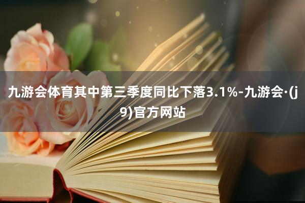 九游会体育其中第三季度同比下落3.1%-九游会·(j9)官方网站